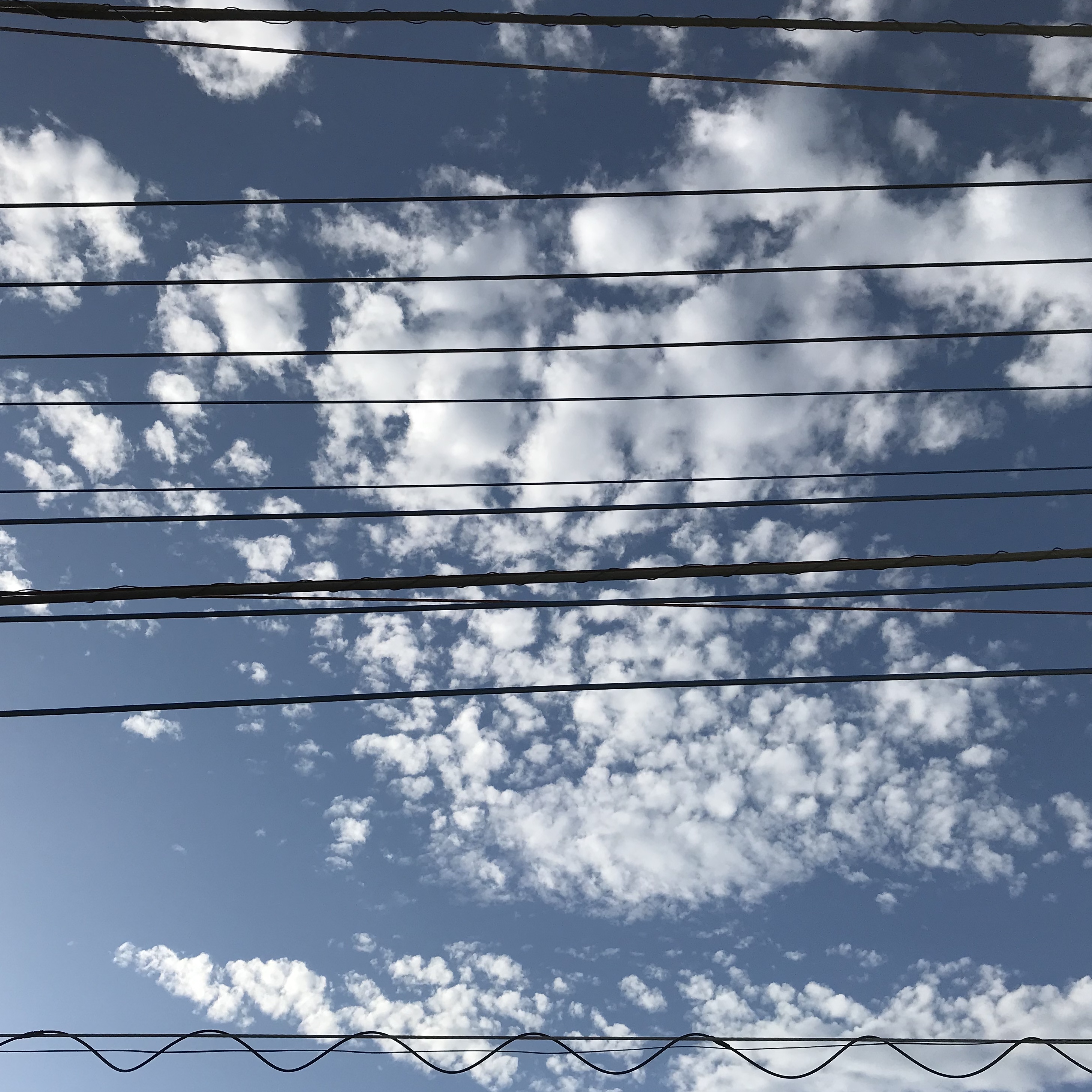 立体的で多面的で流動的