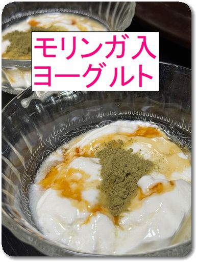奇跡の木「モリンガ」