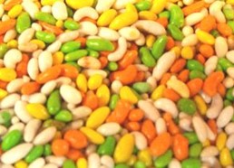 インドの男女に必需品「スイートフェンネル」
