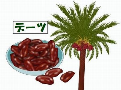 クレオパトラも愛した「デーツ」