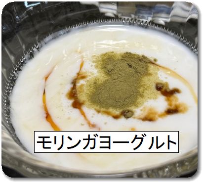 生命の木「モリンガ」