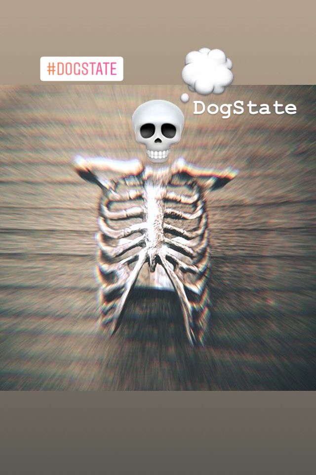 DogState ドッグステイト Ribcage Ring