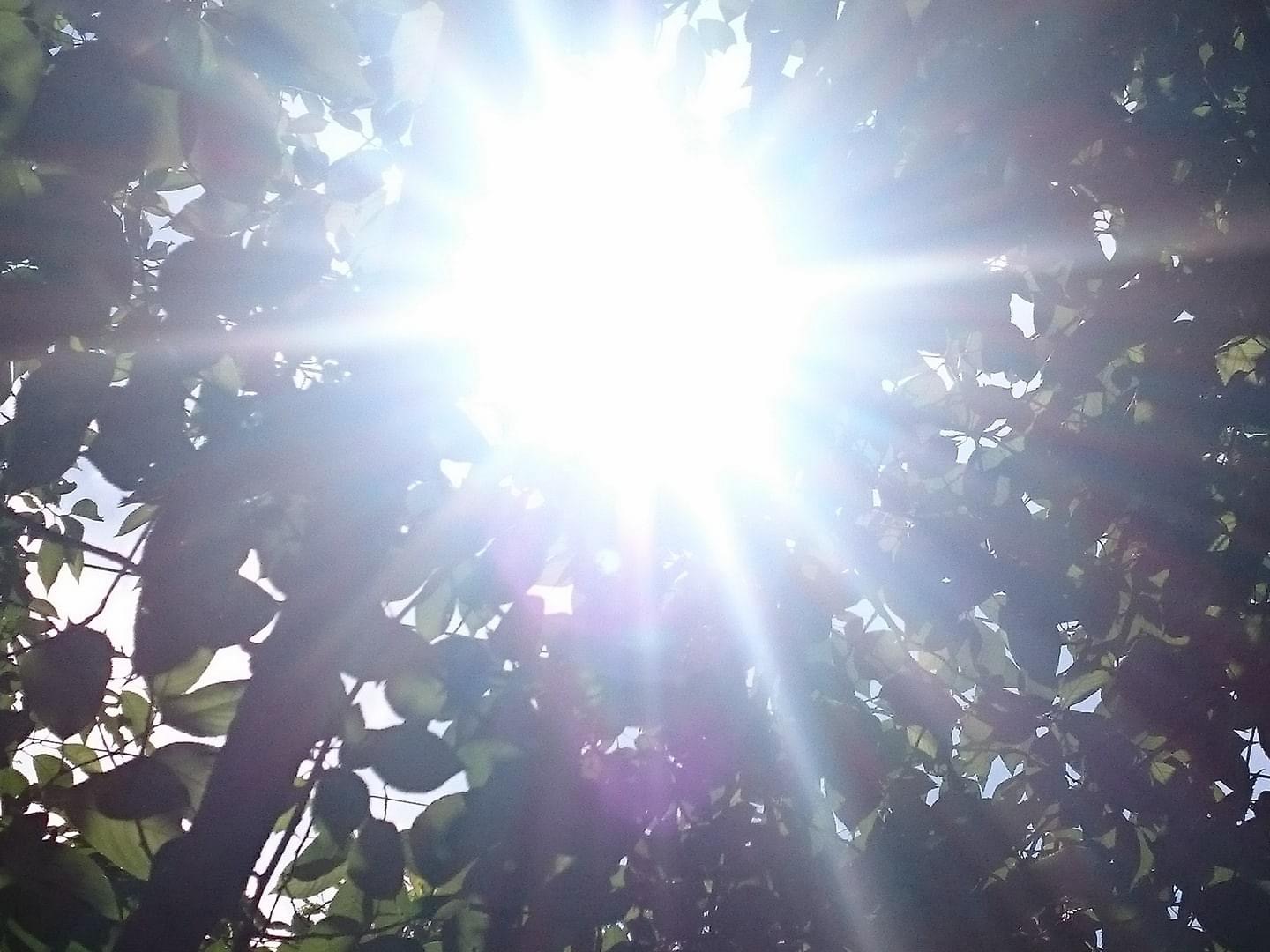7月！