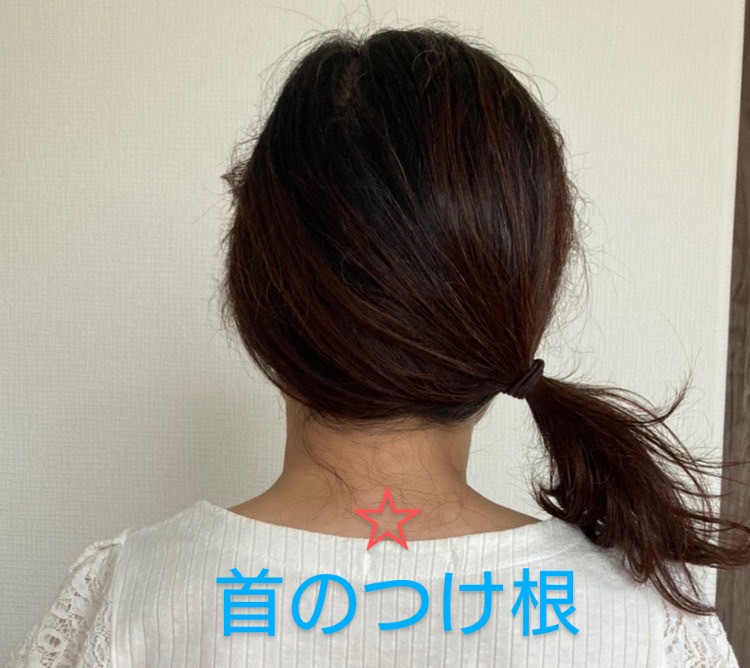 やっと涼しくなってきた今日このごろ