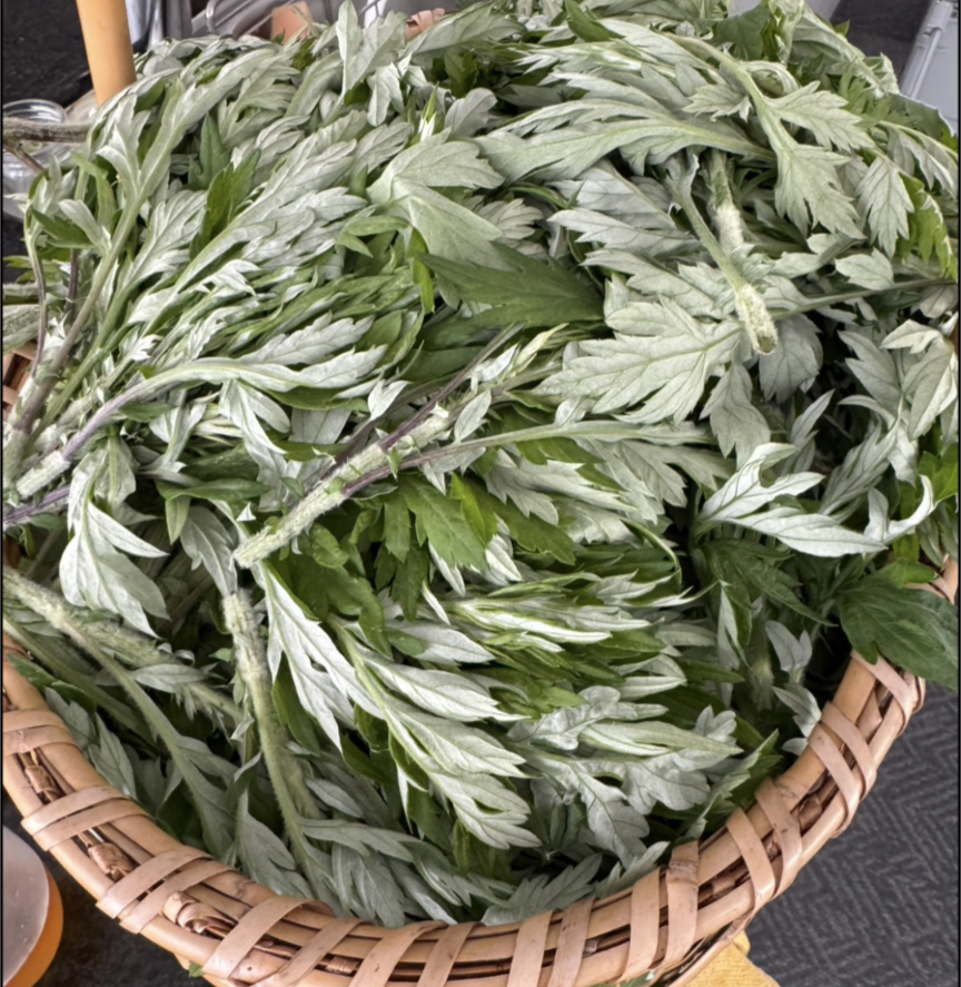お待たせしました『よもぎ茶』2025
