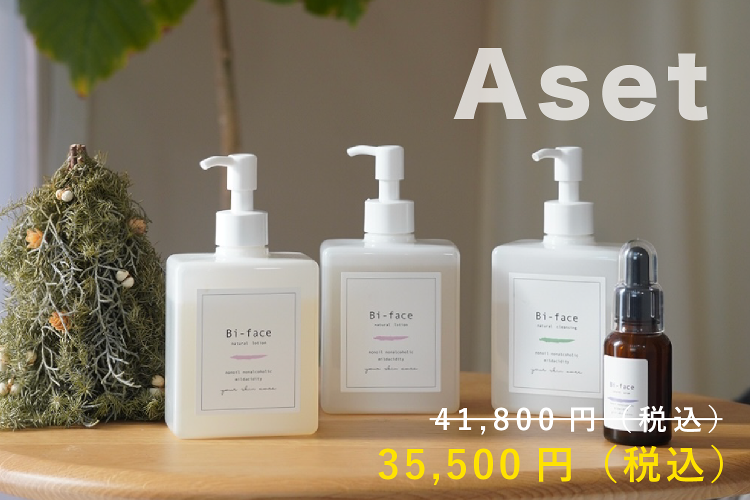年に1度の大セール❗️クリスマスキャンペーン2024