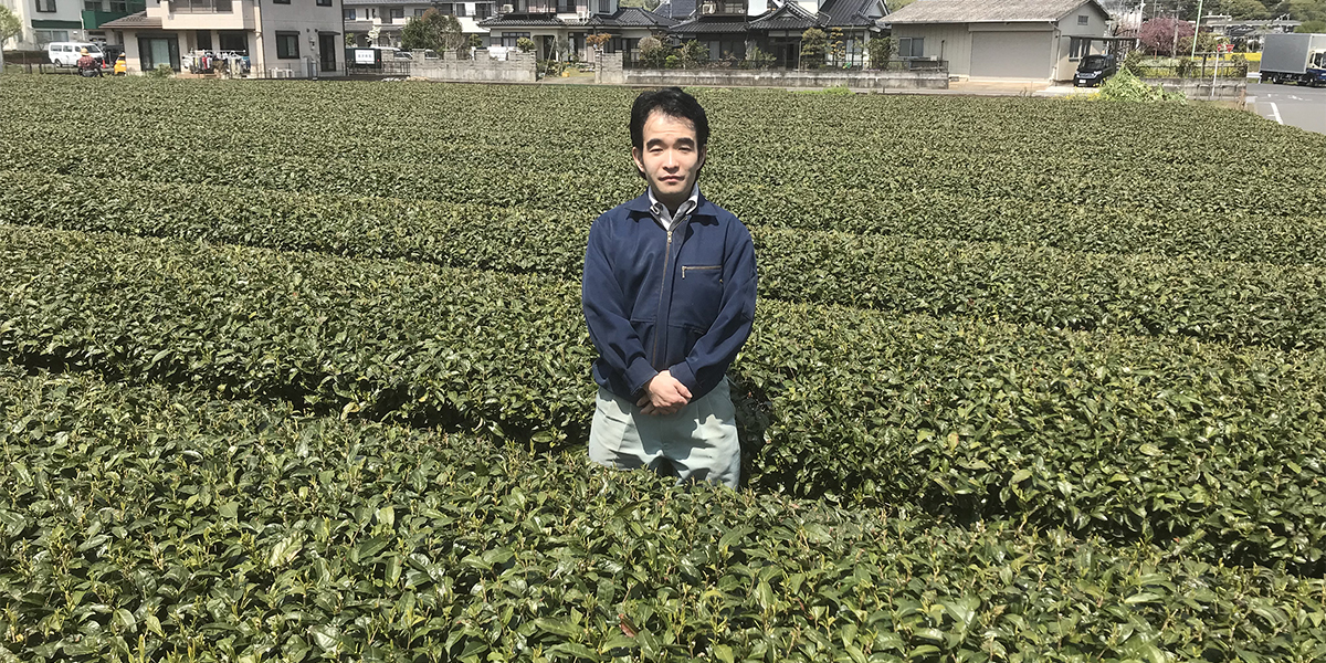 東京茶丗 -SOU- を支える茶師へのインタビュー