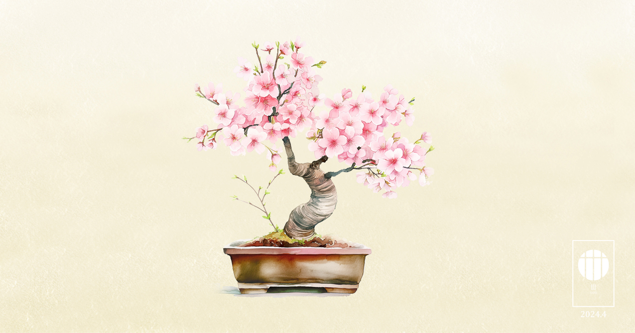 ふんわり咲く桜