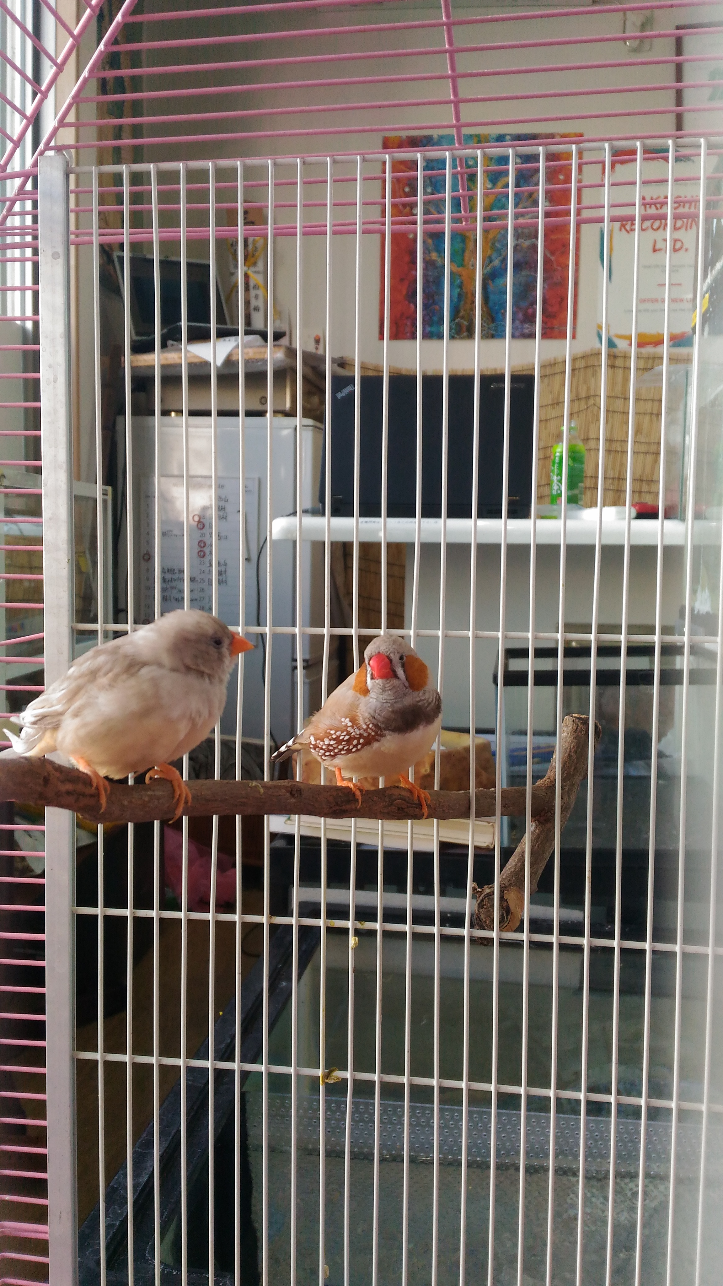 仲良くおしゃべり♪