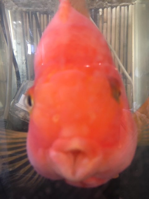 今話題の･･･？？？