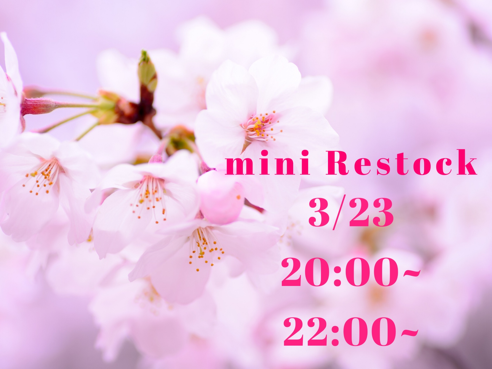 3/23 プチリストック