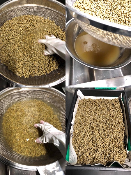 当店の生豆は焙煎前に必ず洗い乾燥後に焙煎します。雑味を完全に排除しクリアーな味と風味を引出します。