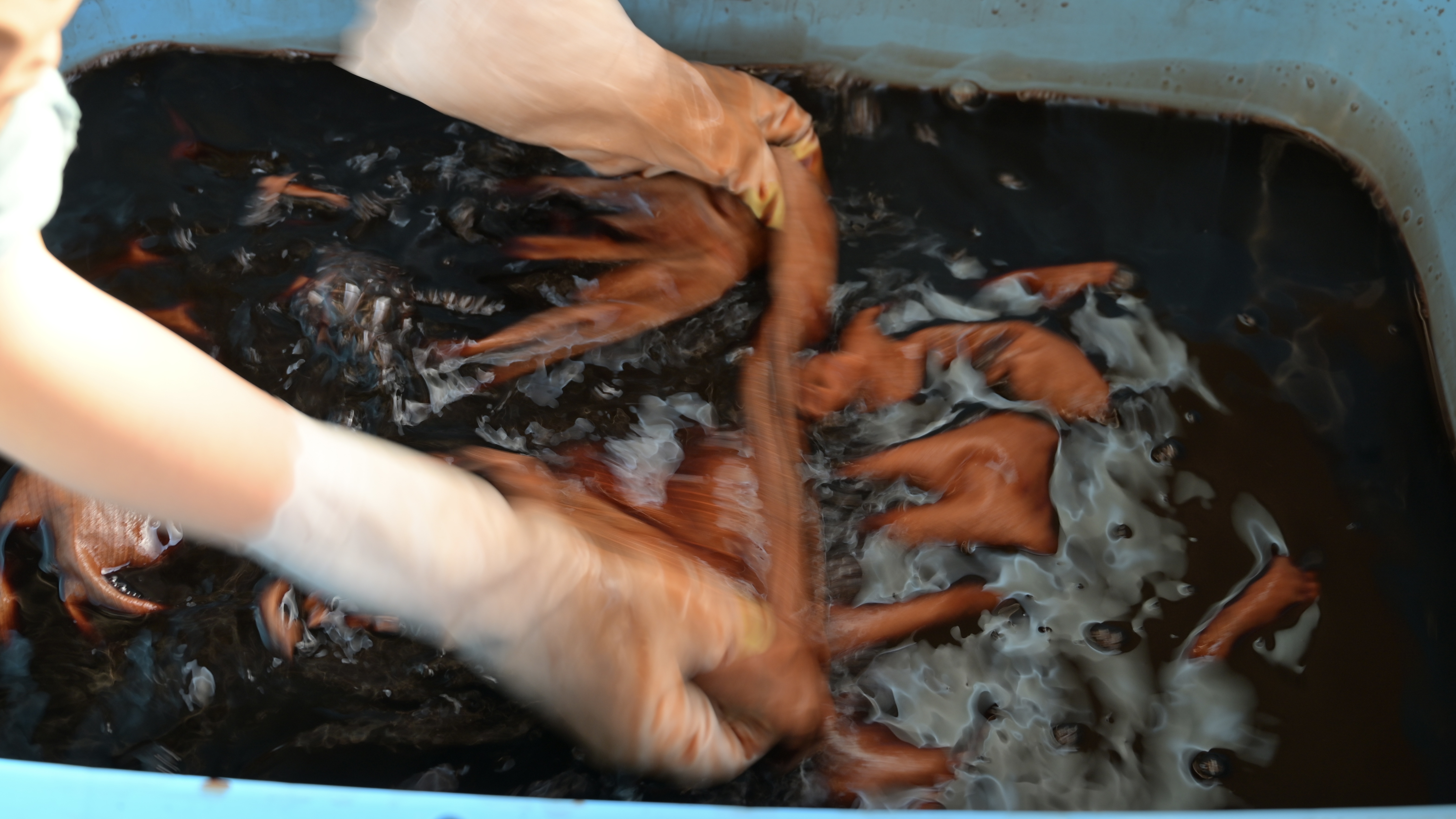 茨城発｜futashiba248の天然染料 重ね染めサービス（農作物・植物染料）