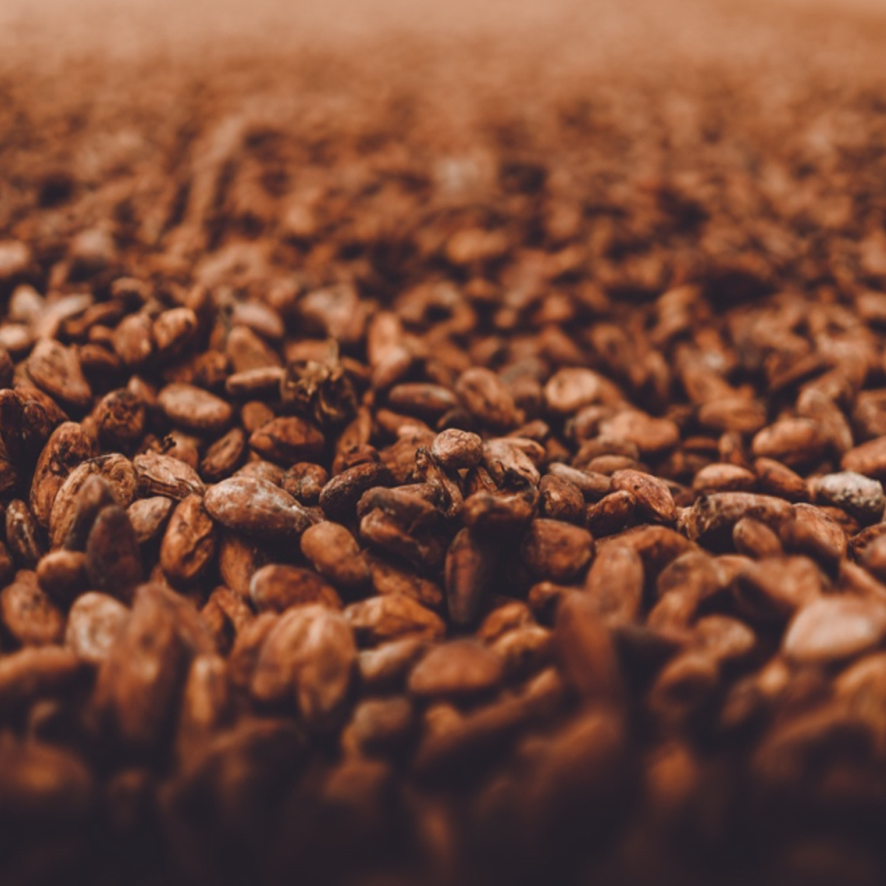 年末年始休業のご案内