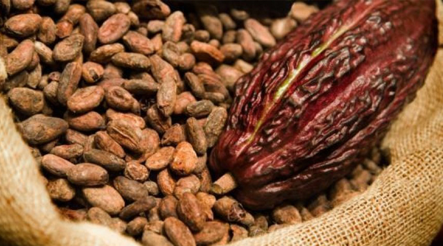 ゴールデンウィーク期間中の配送について