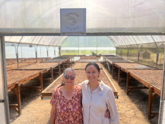 コスタリカ レガドス カトゥアイ ナチュラル