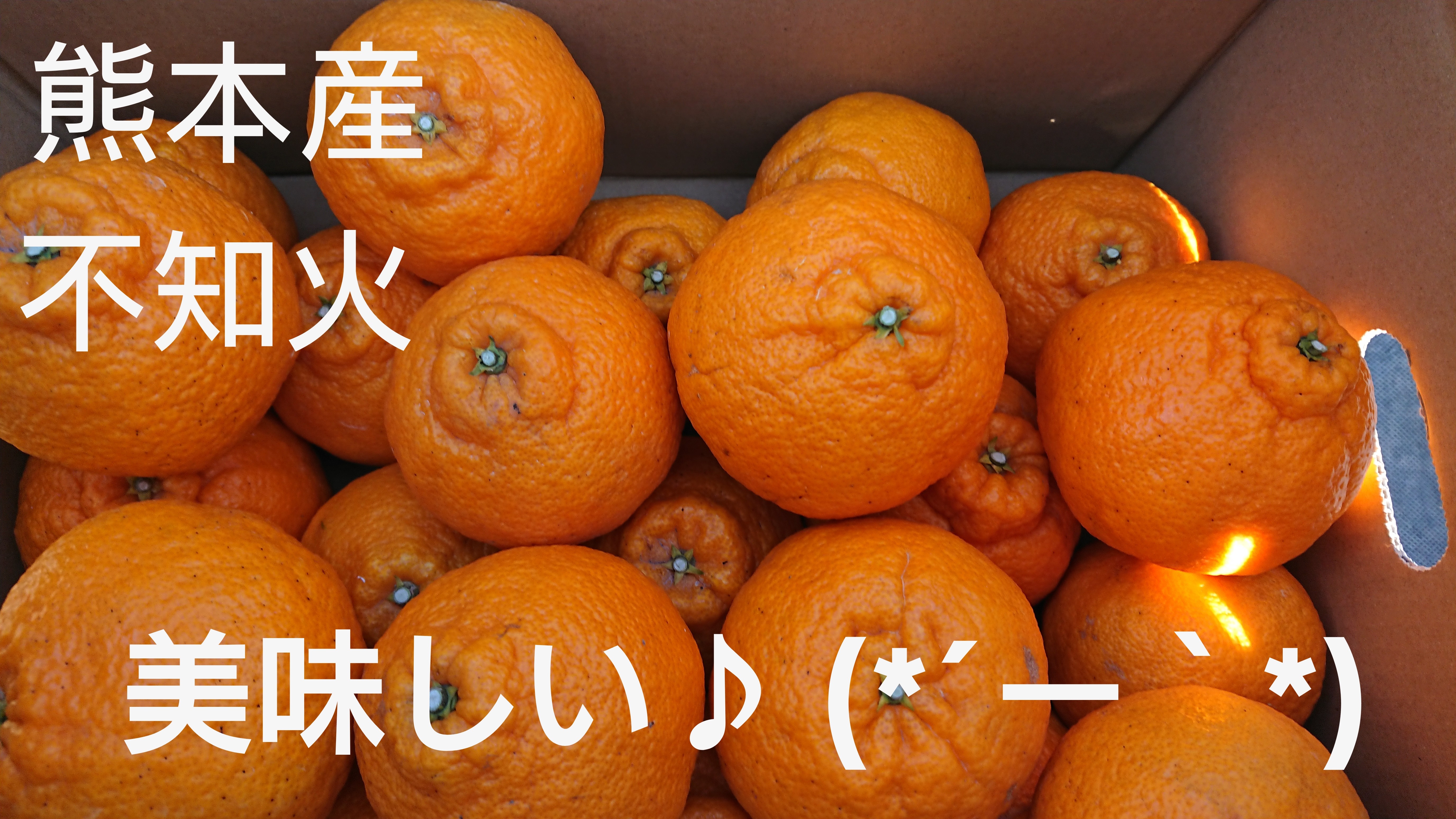 しばた農園のみかん日記🍊