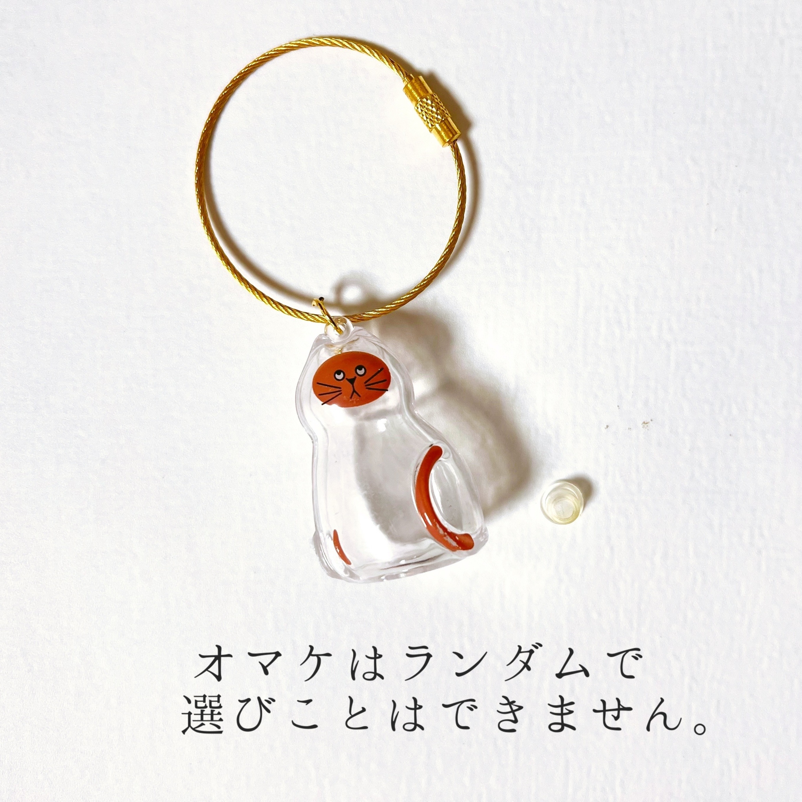 購入者様向けプレゼント