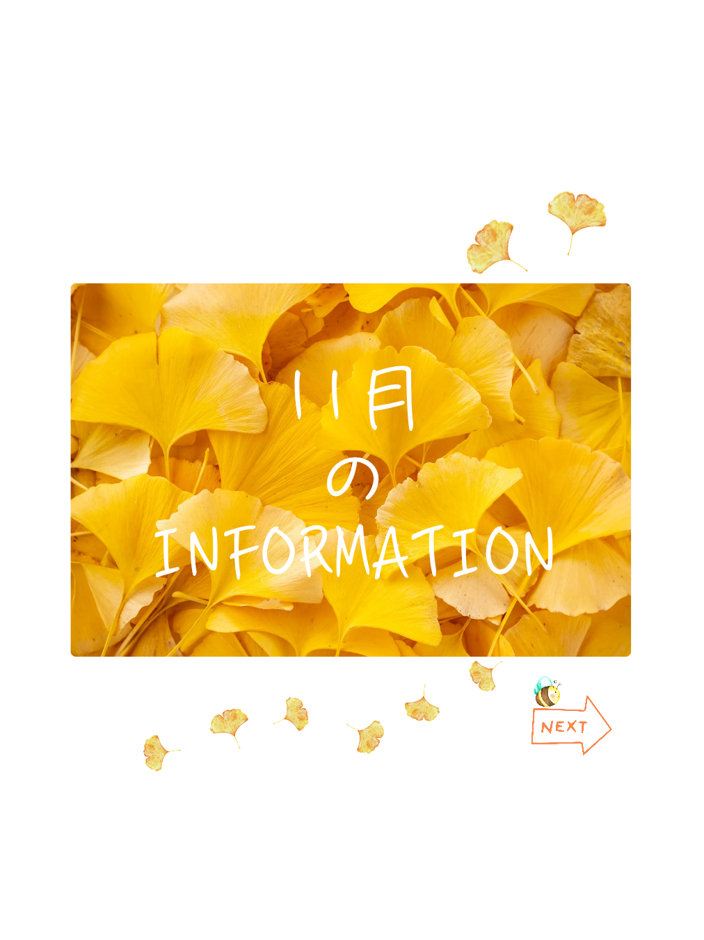 キャンペーン実施中です✨詳しくはこちらからご覧ください✨