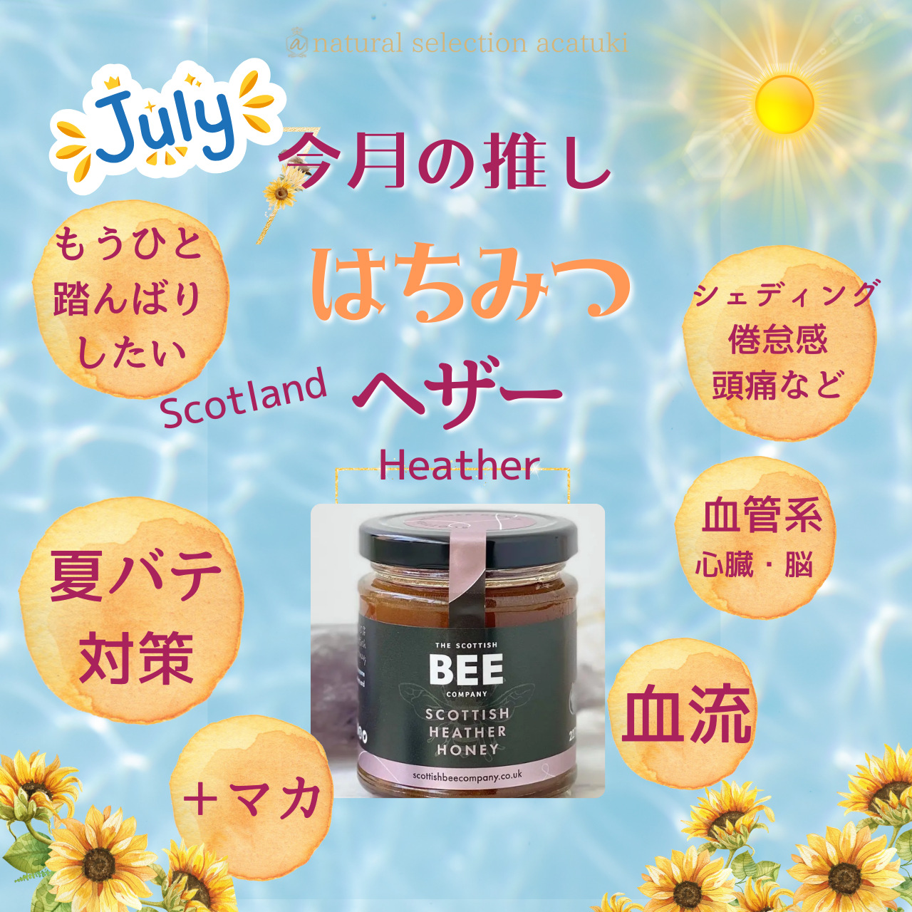 今月の推し🍯はちみつ🐝 令和6年7月