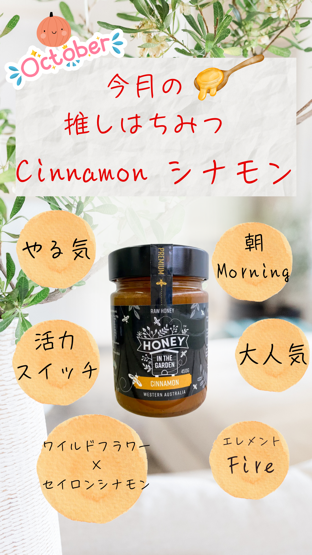 今月の推し🍯はちみつ🐝 令和6年11月