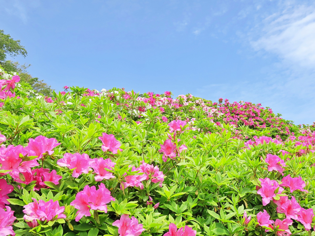 GW期間中の休業のお知らせ