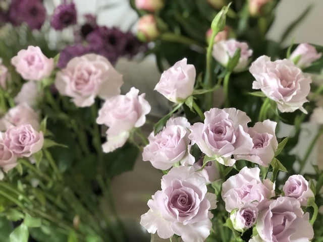 New！6/5(fri) 、6/6(sat)、6/7(sun)  生花販売のご案内です