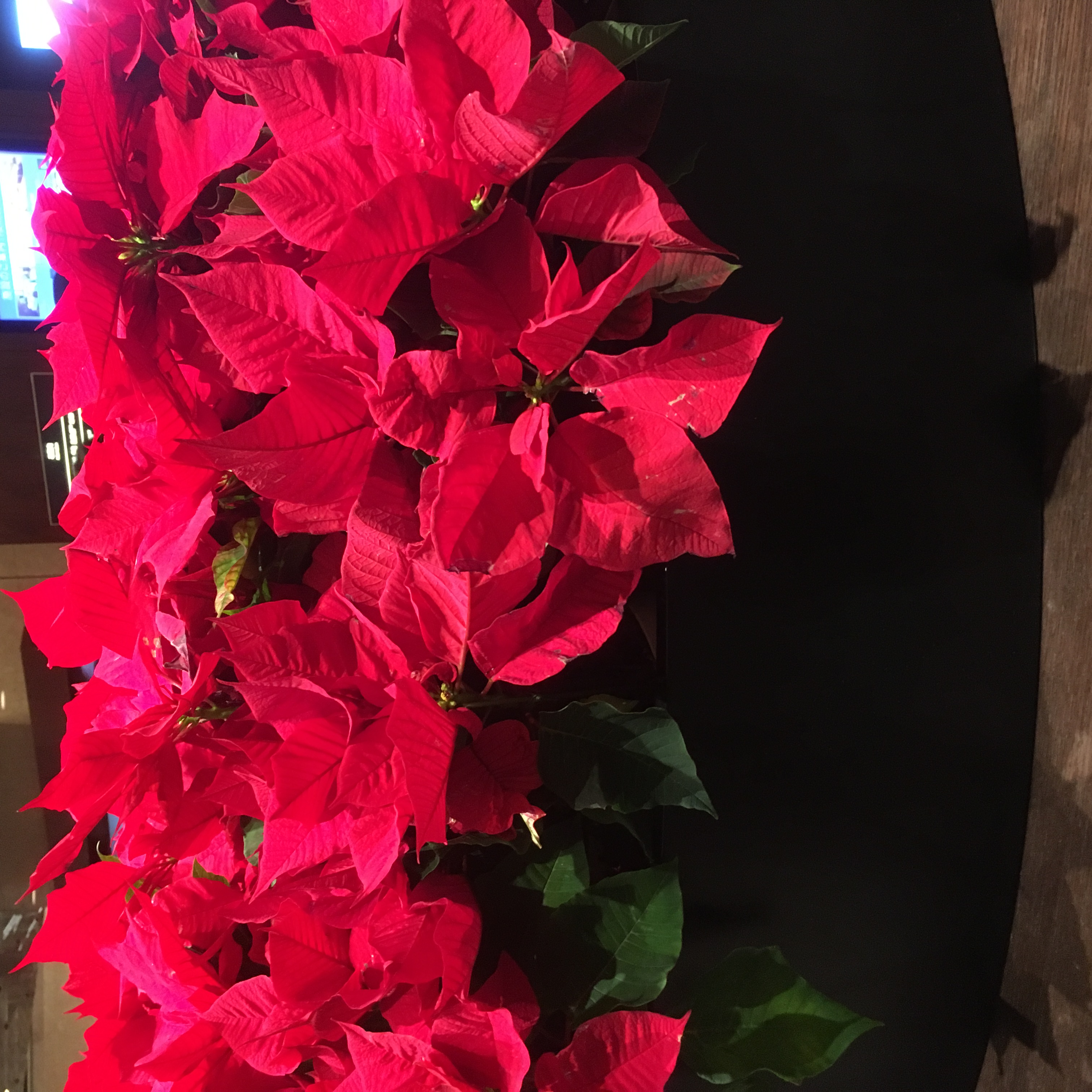 *年末年始のお知らせ*