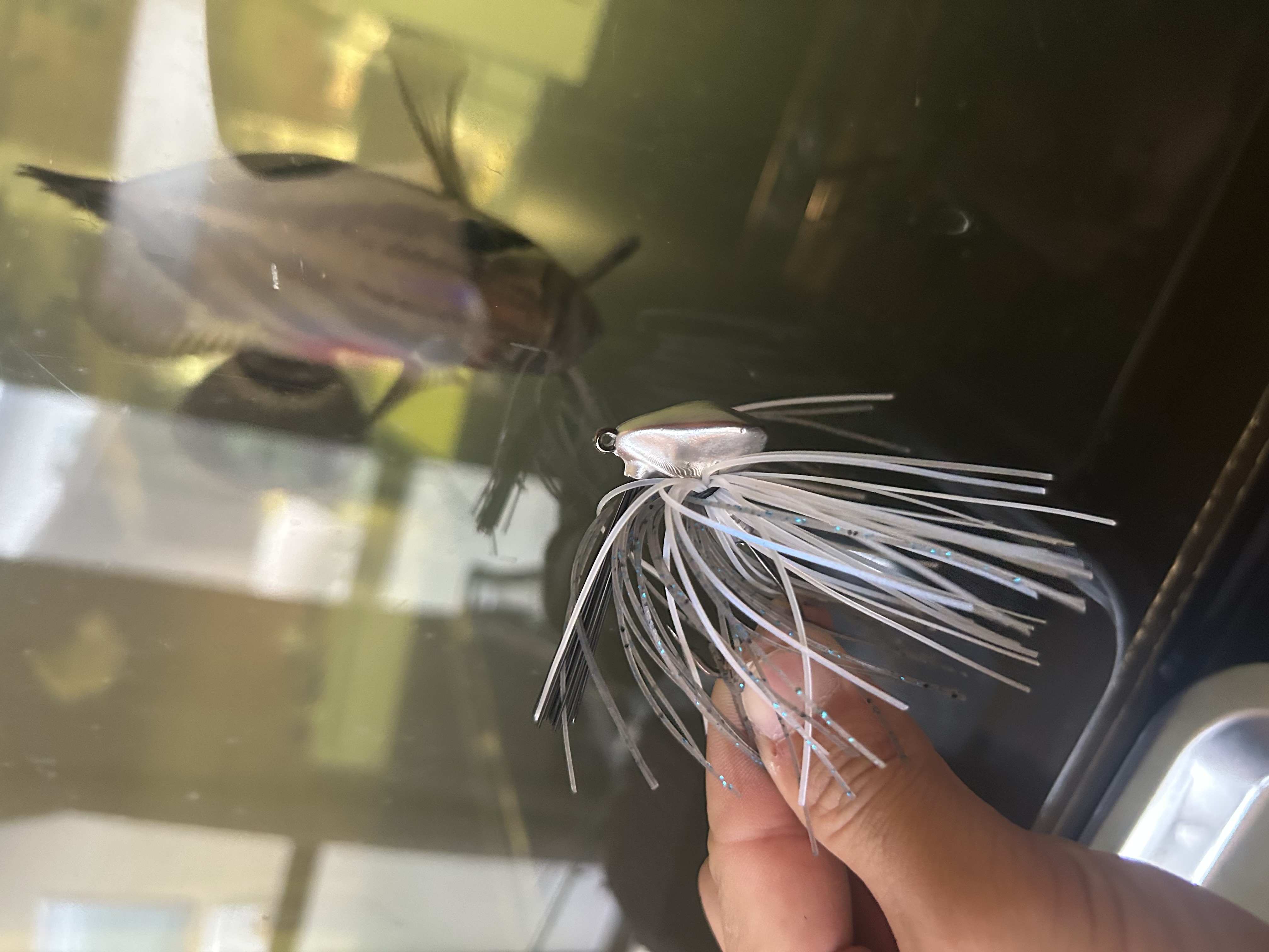 ウルス　テストサンプル