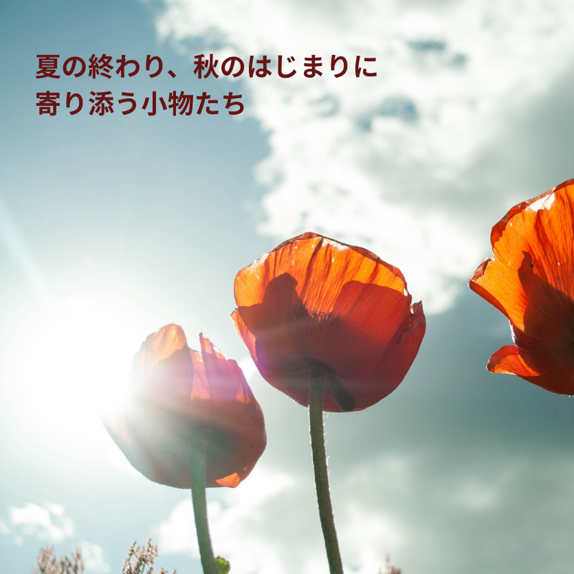 🌿 夏の終わり、秋のはじまりに寄り添う小物たち