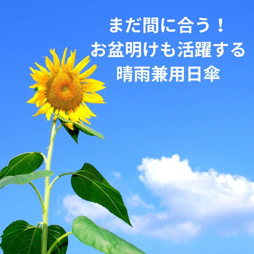 まだ間に合う!お盆明けも活躍する晴雨兼用日傘