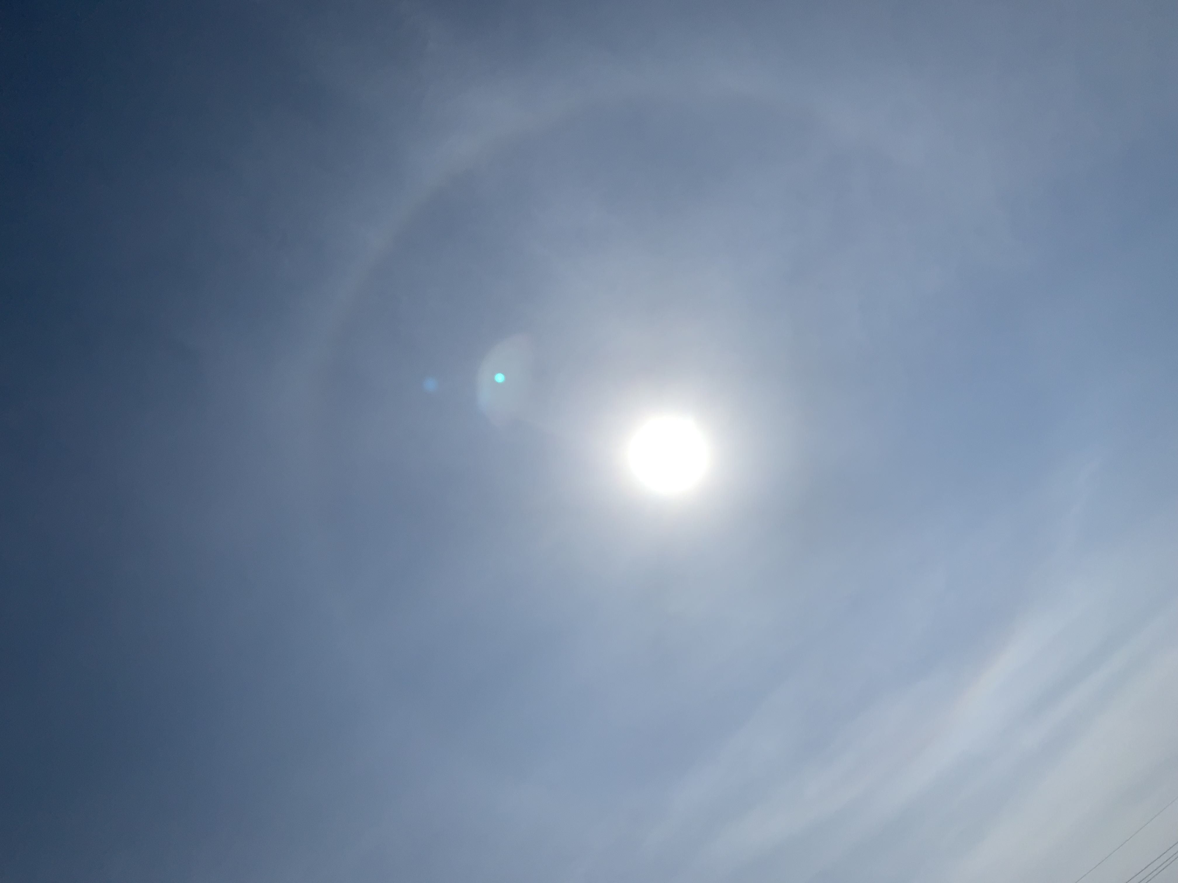 今日も、良いお天気でした(*^^*)