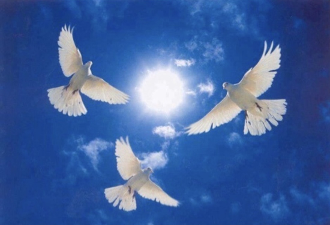 『　あ　ま　て　ら　す　』　太陽神