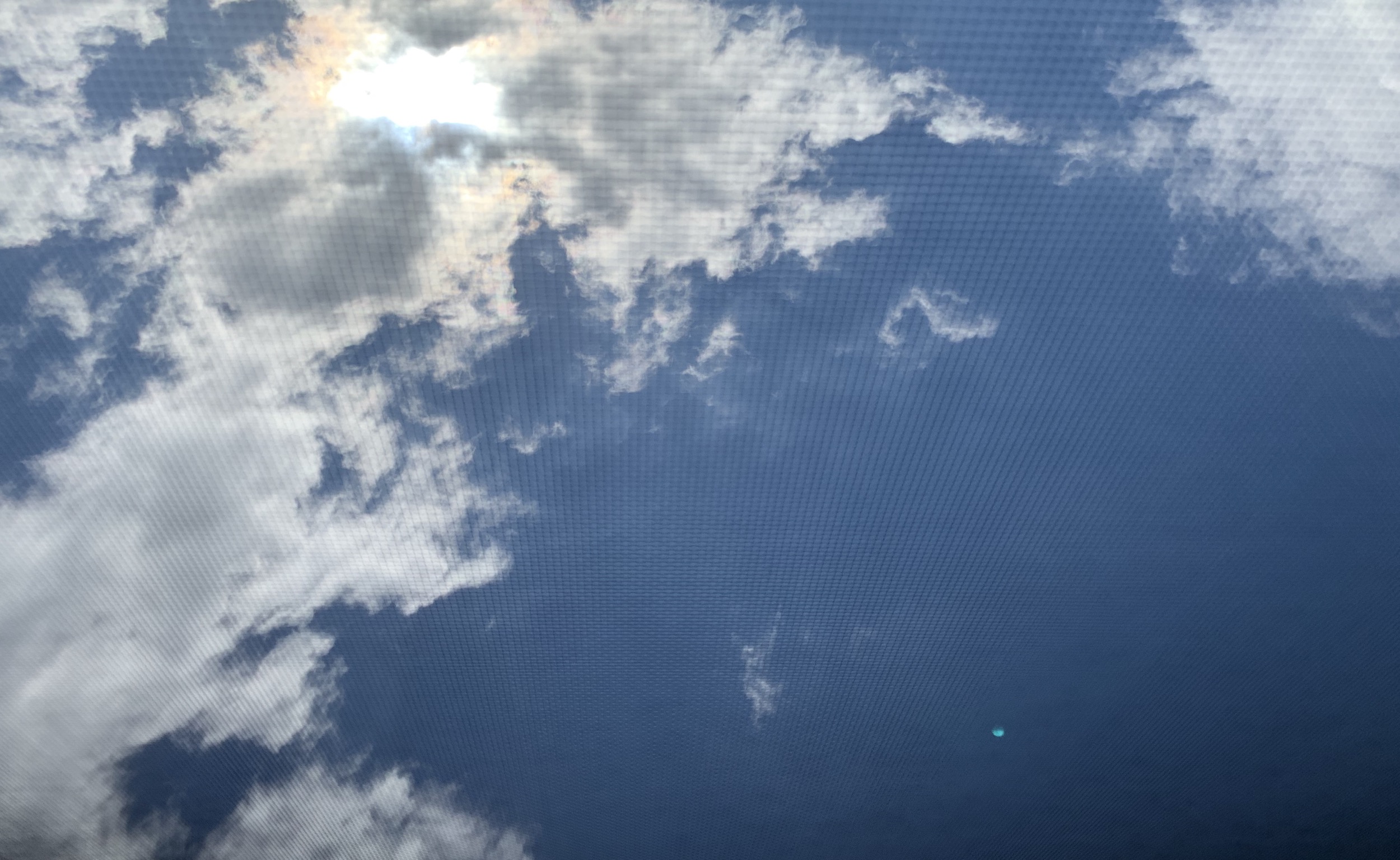 もう一月も末になりましたが…