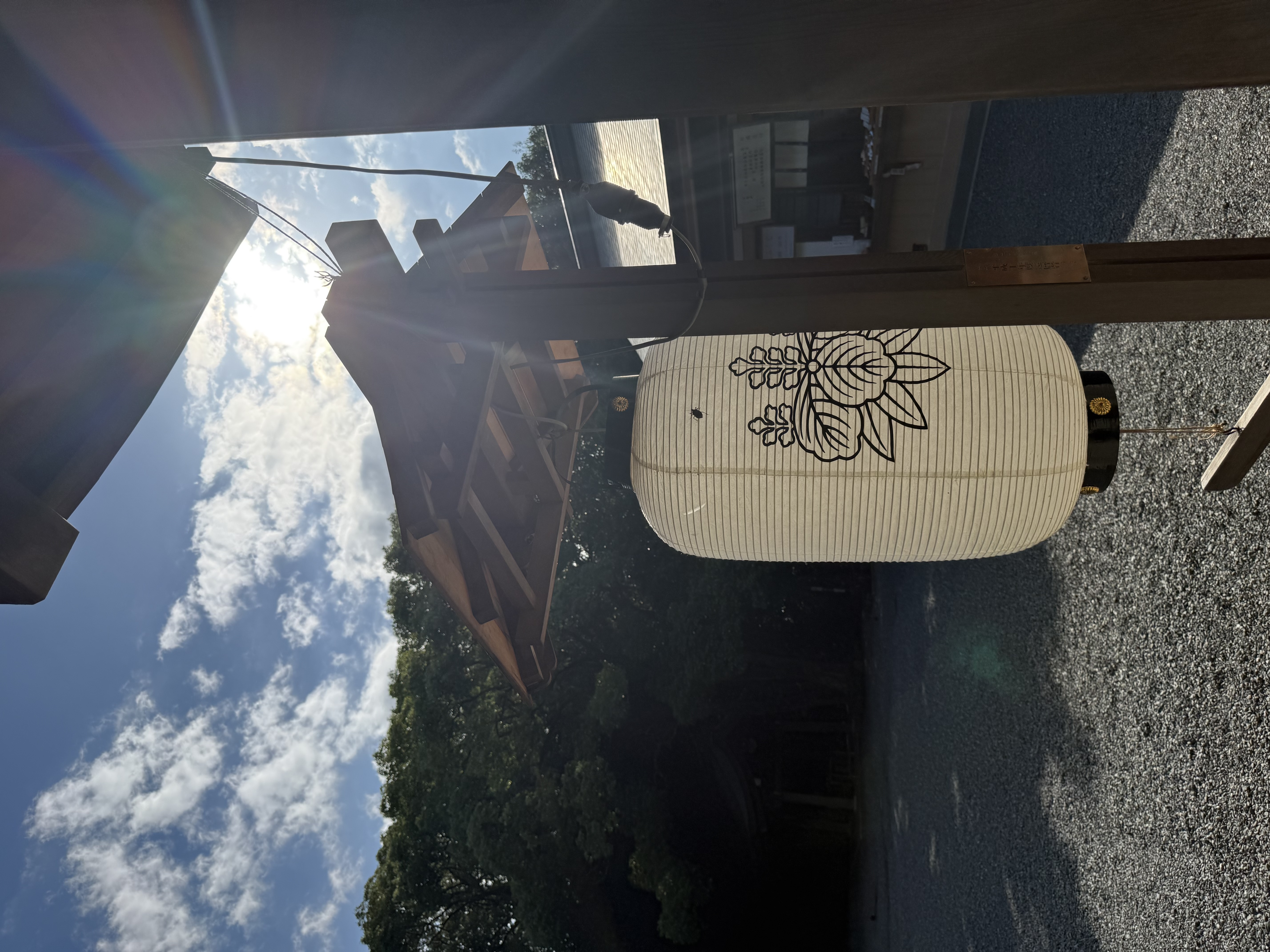 お天気に恵まれました☀️