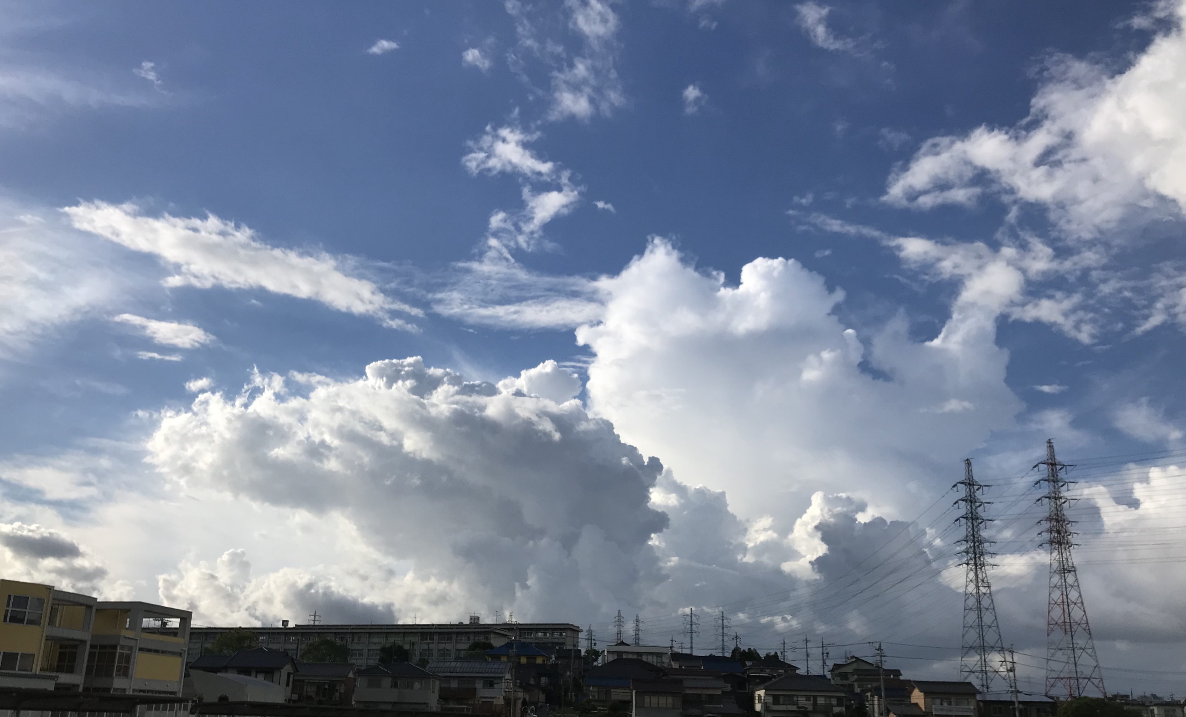 あ〜〜✨ 嬉しい一日となりました(*´︶`*)