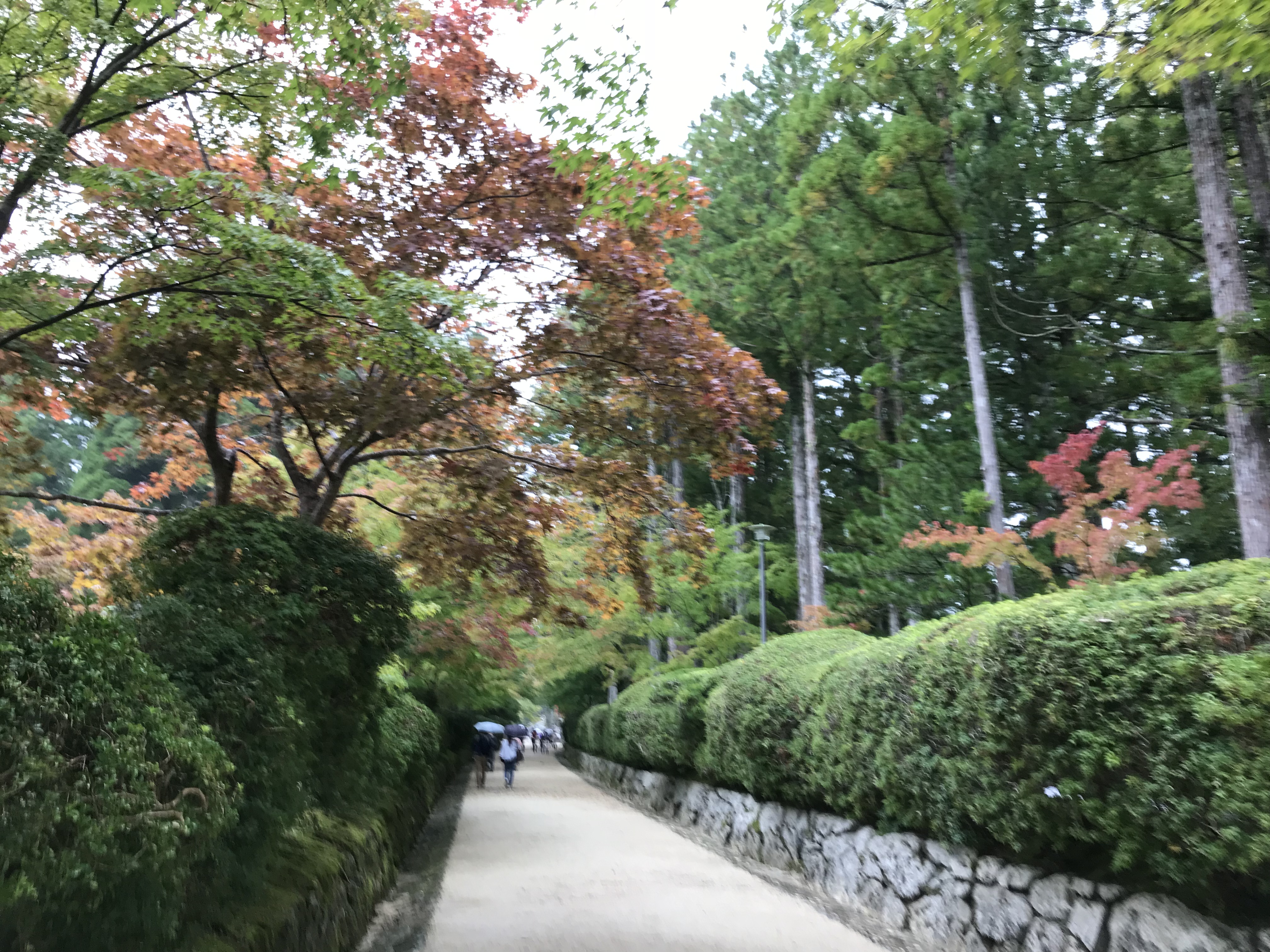 高野山☆*:.｡. o(≧▽≦)o .｡.:*☆