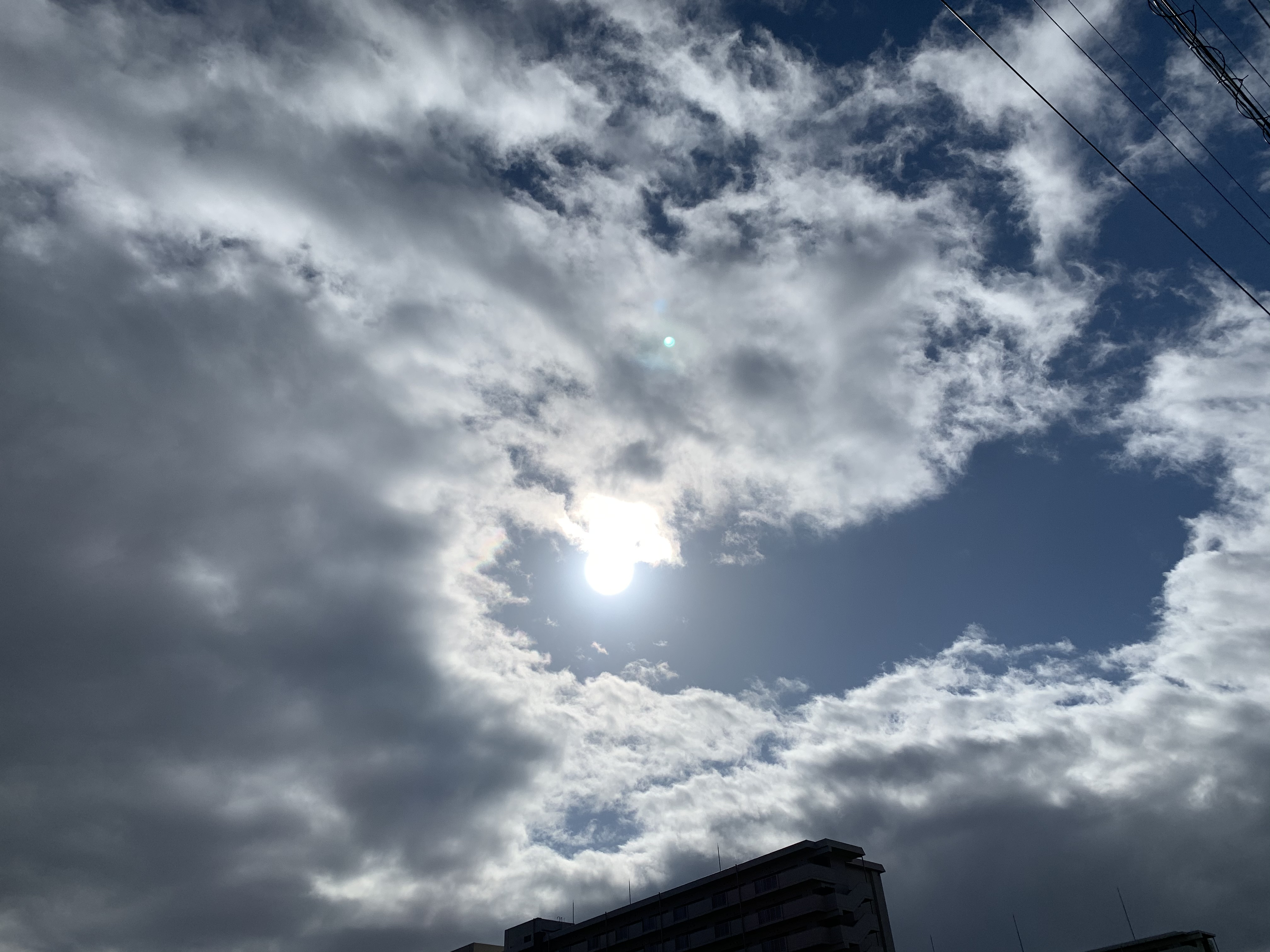 みなさま　こんにちは╰(*´︶`*)╯♡