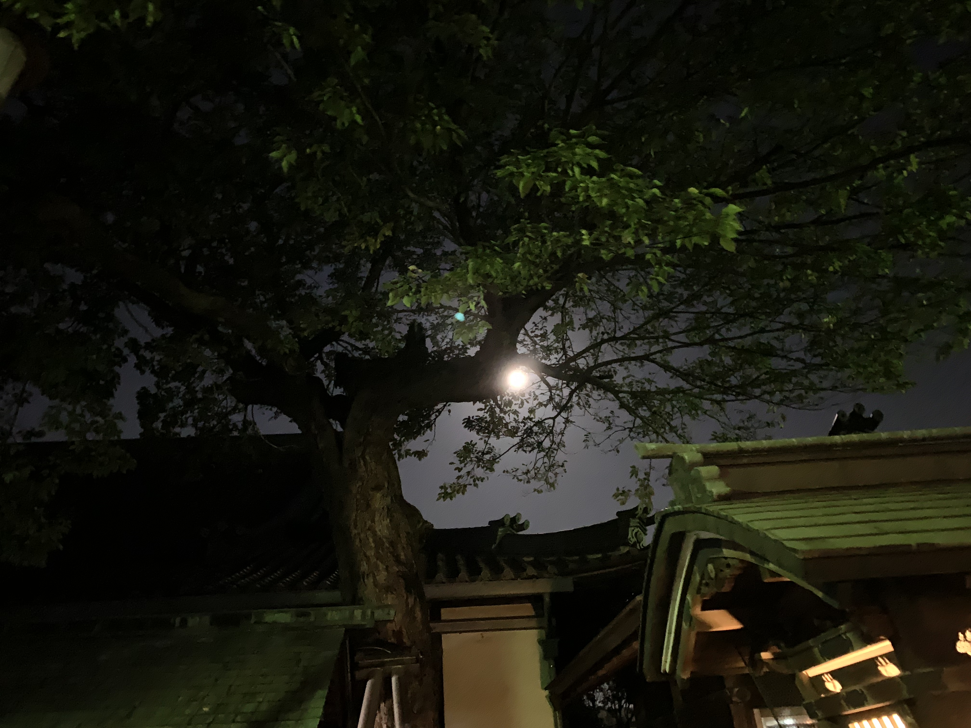 ブログもご無沙汰してしまいました^^;