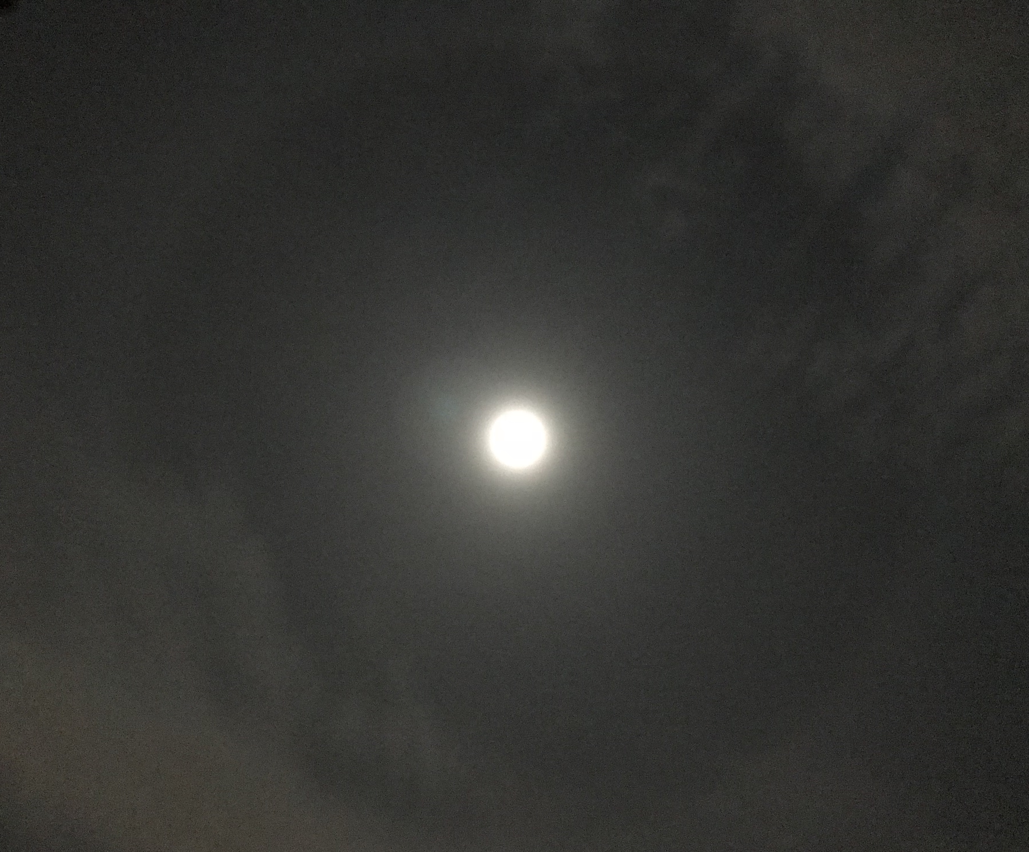 今宵は満月…(*^^*)