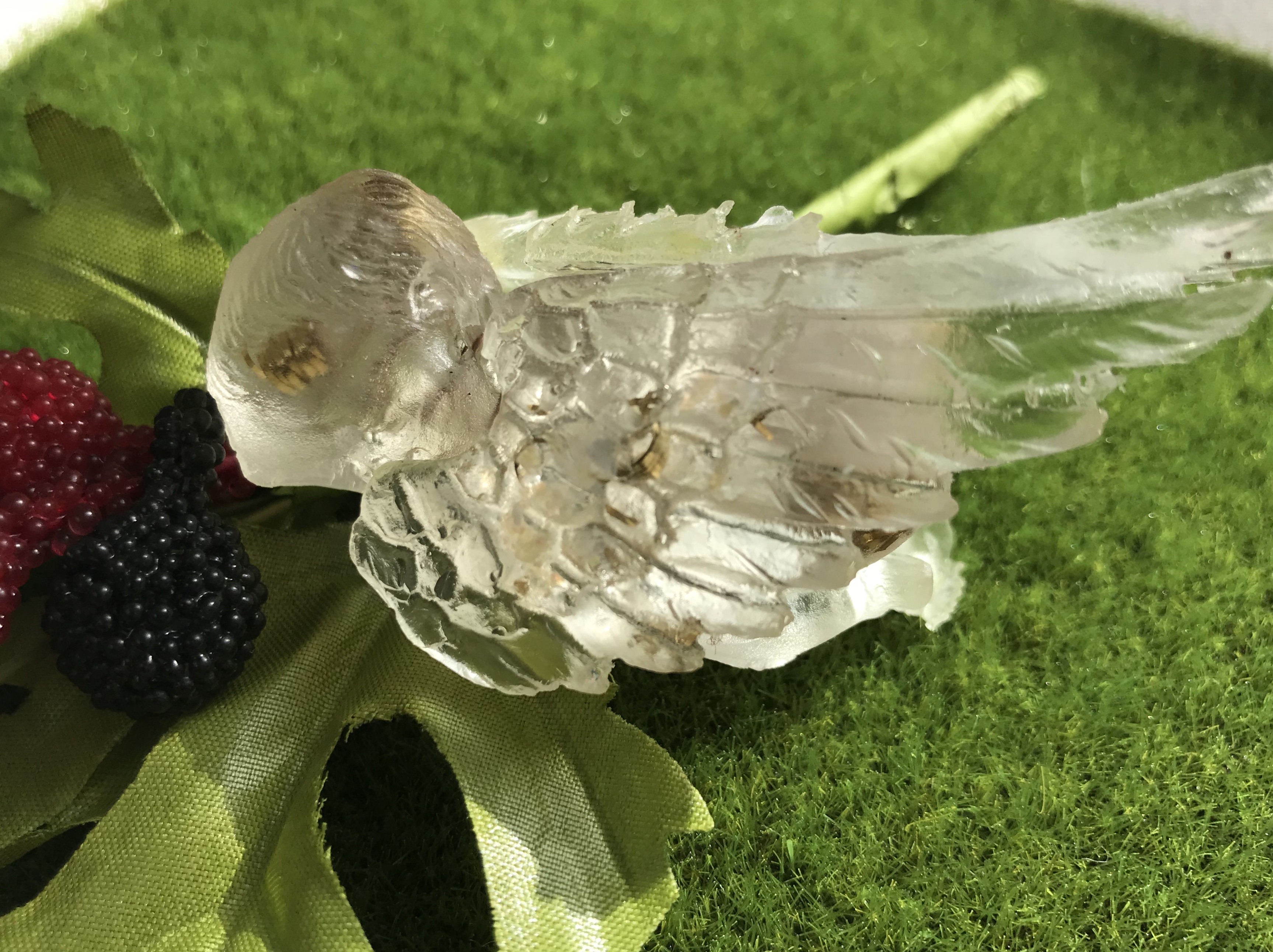 初めまして☆彡