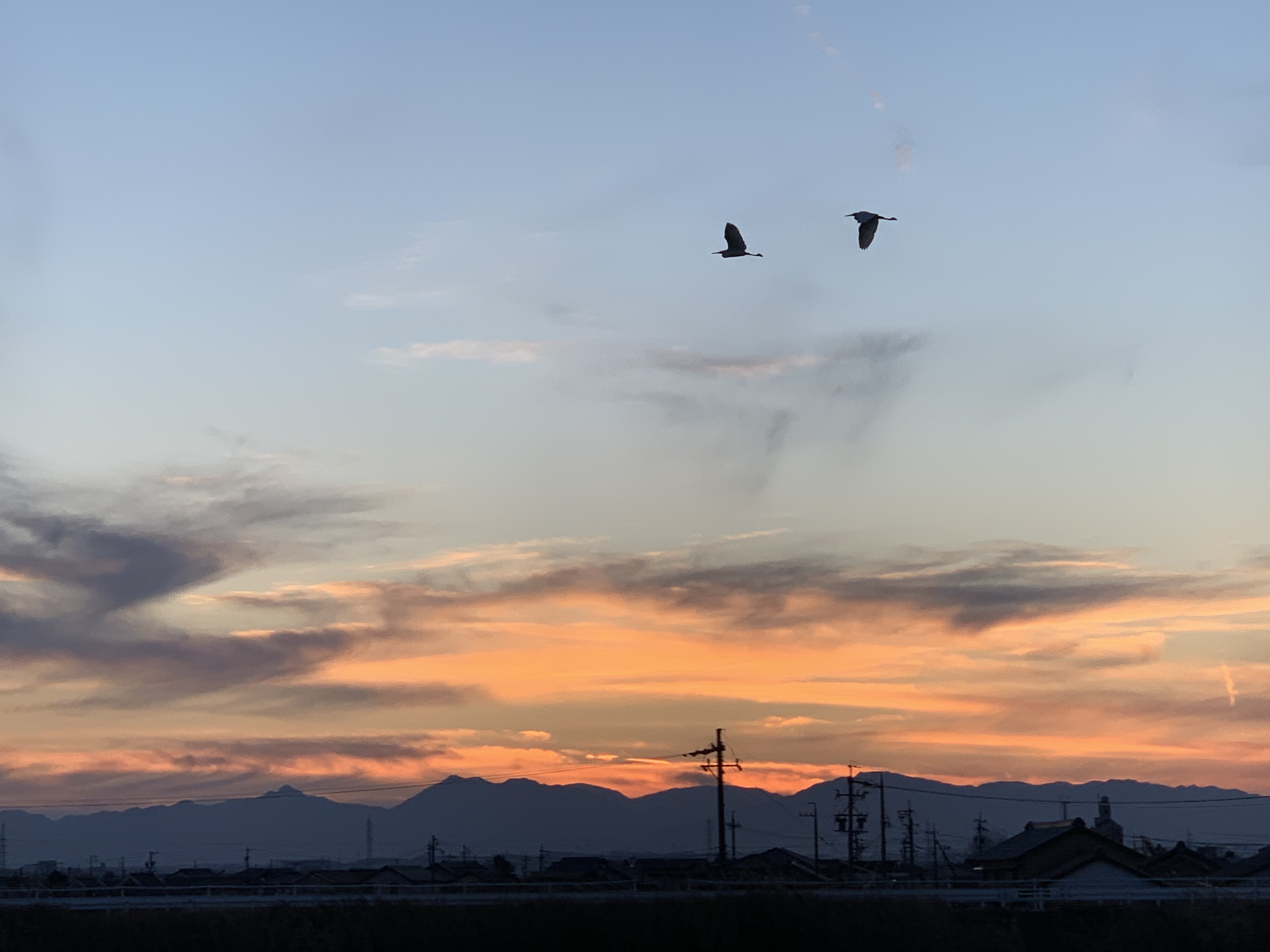 遠隔ヒーリング☆*:.｡. o(≧▽≦)o .｡.:*☆