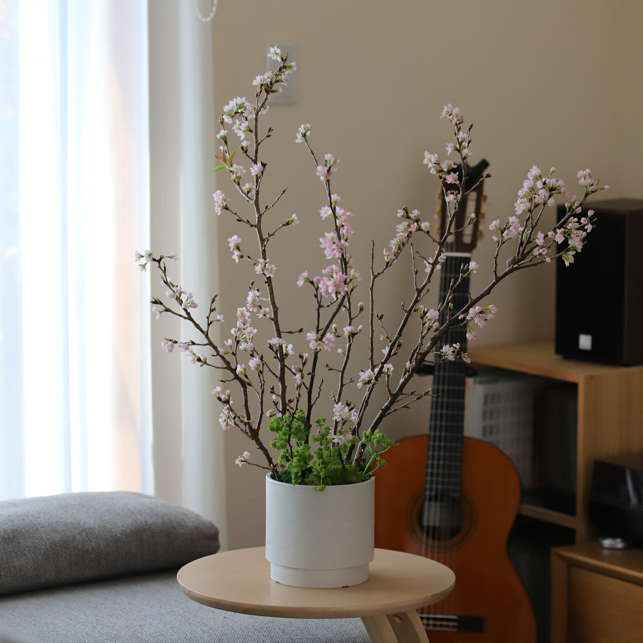 あの楽しかったお花見風景を自宅で再現！「桜のお花見キット」