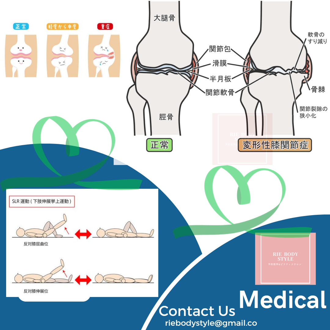 変形性膝関節症を予防と改善しよう💚🔸🌼🔸🌼🔸🌼