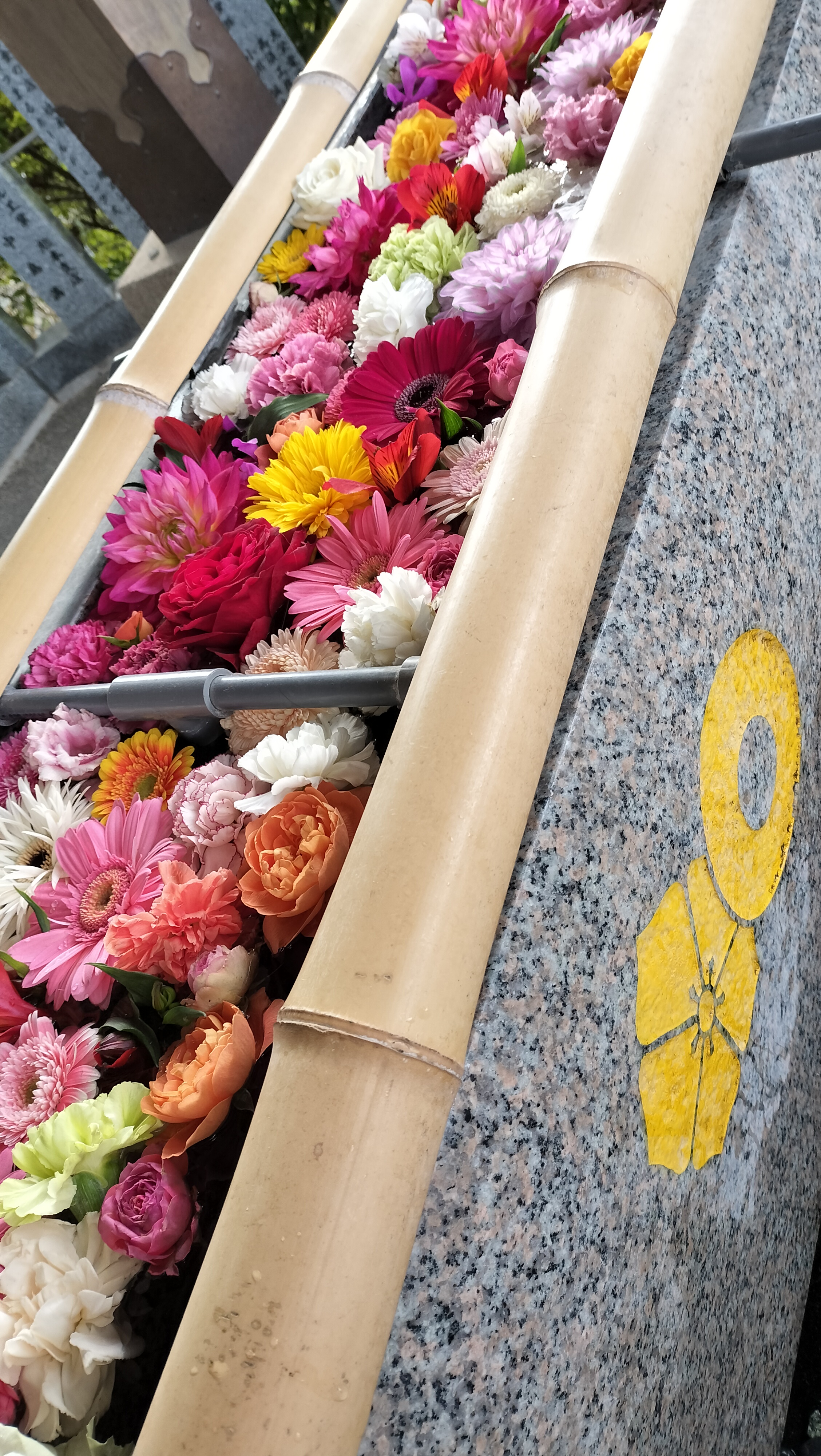 あけましておめでとうございます🐎🌅✨