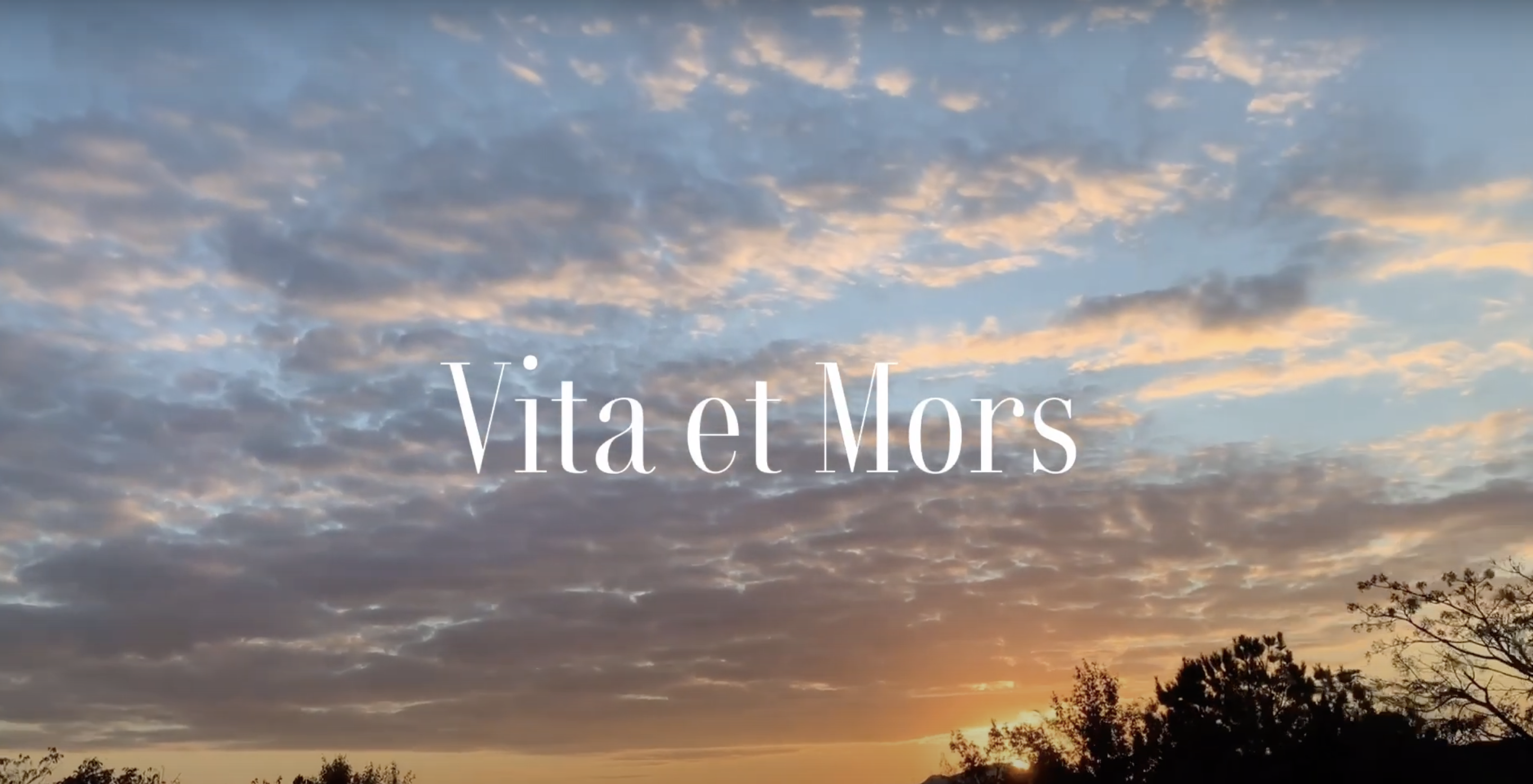 Vita et Mors - MV - JINMU BLACKNOTE