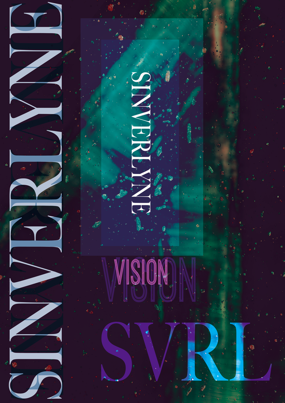 VISION 4 SINVERLYNE
