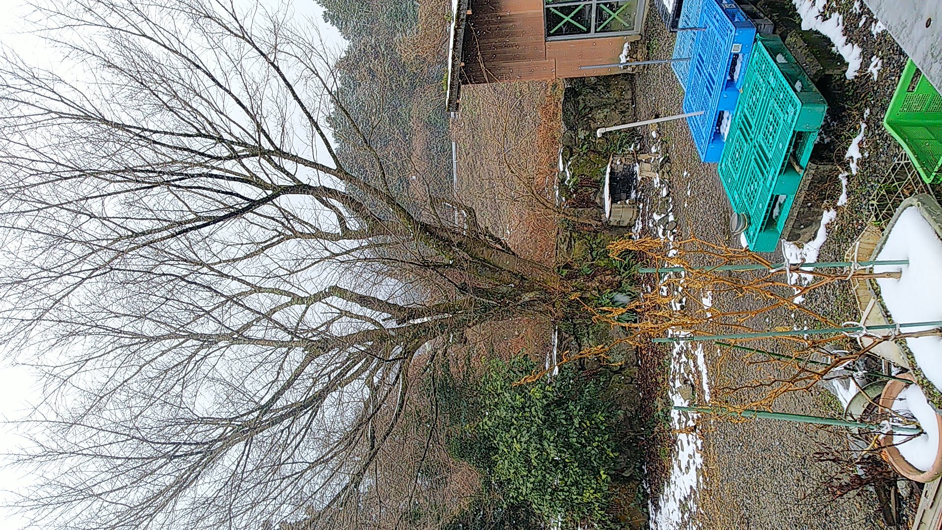 福岡、早良の仕事場は、ここ4日間雪が降ったり止んだりの毎日です。積もっては解けの繰り返し!!寒い!!