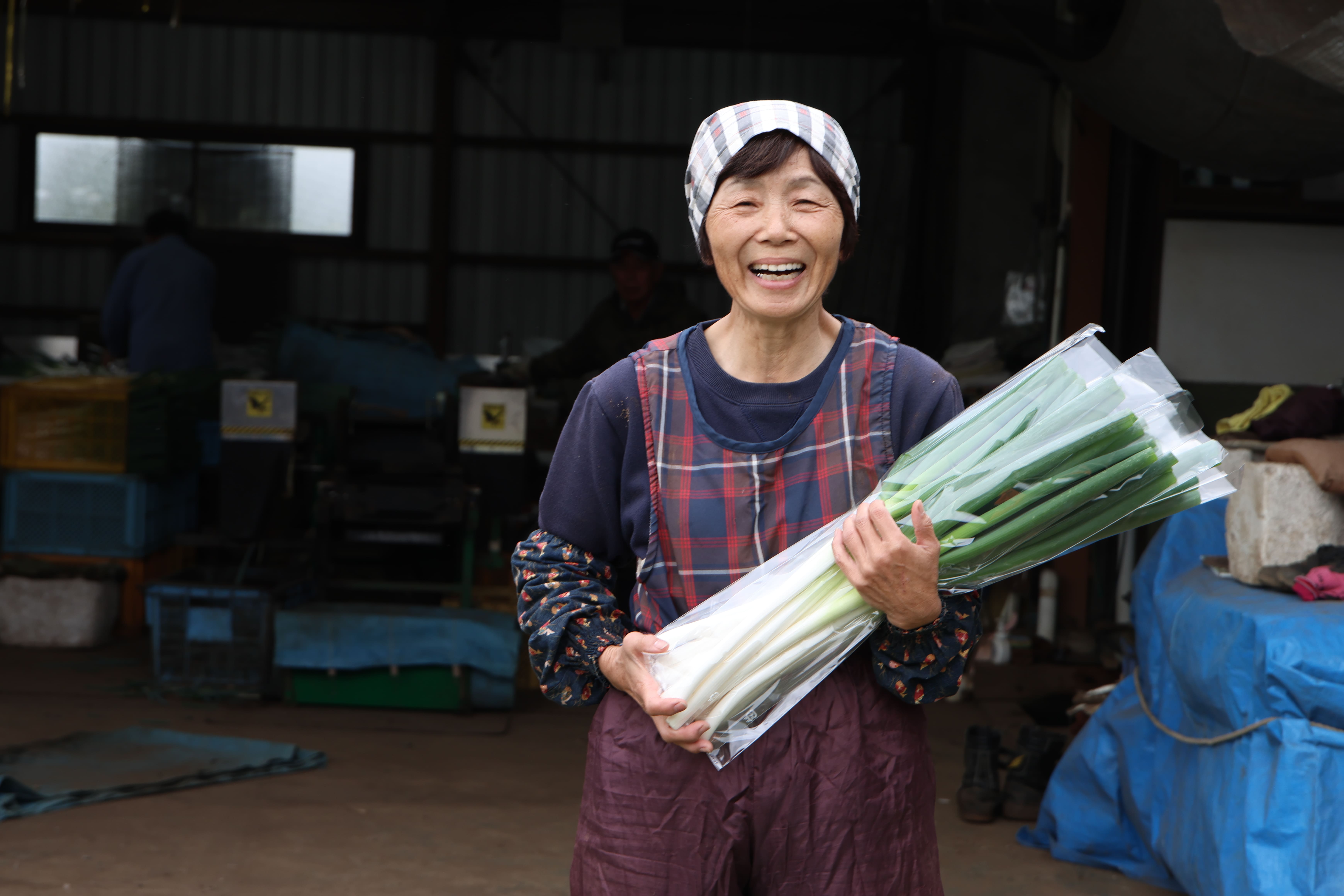 地産地消だけではもったいない!全国に誇れる菊池のうまいもの!【白ネギ】