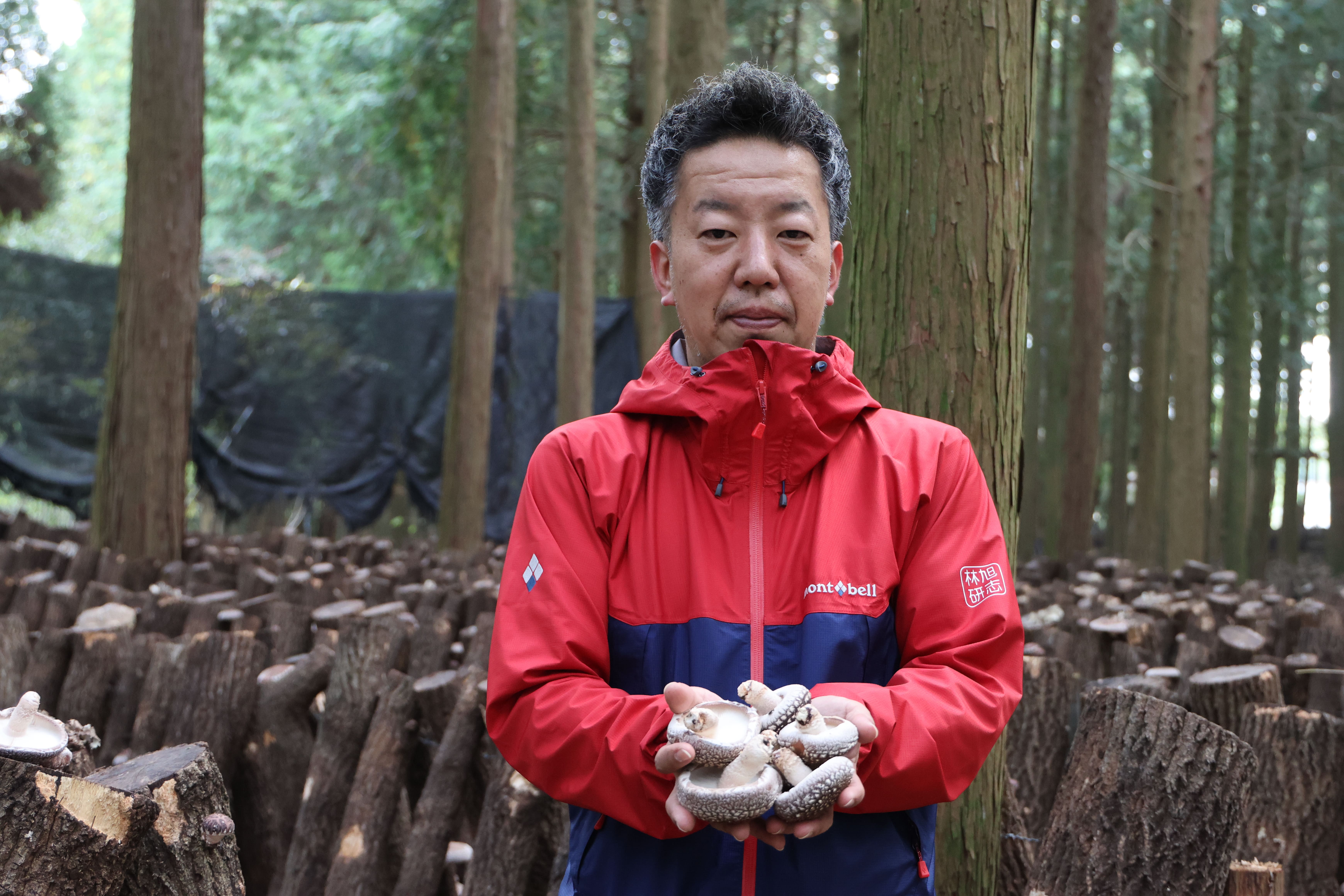 地産地消だけではもったいない!全国に誇れる菊池のうまいもの!【しいたけ】